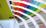 textile dyes agency